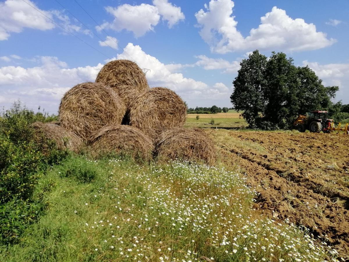 Hotel Rural Lajafriz Fornillos de Aliste Bagian luar foto